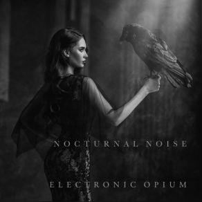 Download track Nocturnal Noise 2 Electronic OpiumOctavian Boca