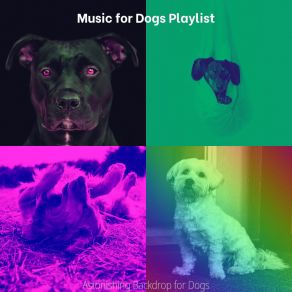 Download track Soulful Moods For Cute Puppies Music For Dogs Playlist