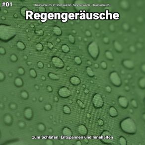 Download track Regengeräusche, Pt. 30 Regengeräusche