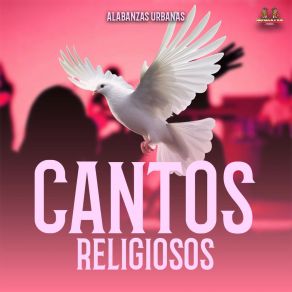 Download track Yo No Se A Lo Que Tu Has Venido Cantos Religiosos