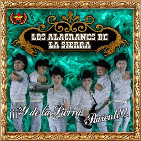 Download track Y Qué Hacer Para Verte Los Alacranes De La Sierra