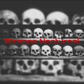 Download track Music Of The Night Strange Nocturnal