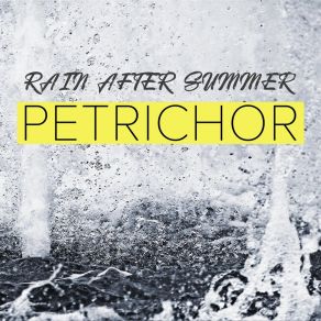 Download track Soju & Beer Rain After Summer