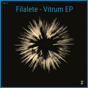 Download track Vitrum Filalete