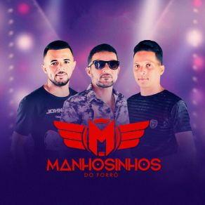 Download track Manhas De Macetar Manhosinhos Do Forró