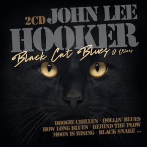 Download track Tupelo Blues John Lee Hooker