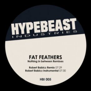 Download track Nothing In Between (Robert Babicz Remix) Fat Feathers