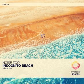 Download track Inkognito Beach (Original Mix) Zoo Noize