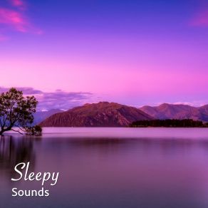 Download track Wah Wah Waves Serenity For Sleep