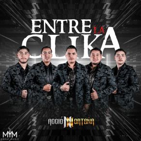 Download track En Pocas Palabras (Sicario) Accion NorteñaSicario