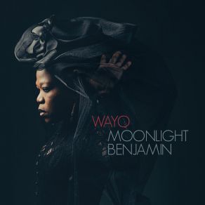 Download track Freedom Fire Moonlight Benjamin