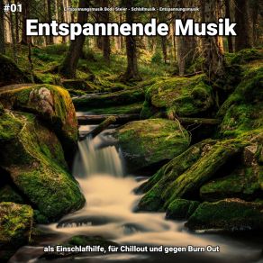 Download track Entspannende Musik Pt. 2 Entspannungsmusik