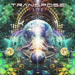 Download track Fantasy & Reality (Original Mix) Transpose