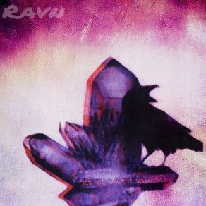 Download track Own Wave Ravn