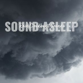 Download track Rain Cloudburst Sounds, Pt. 8 Elijah Wagner