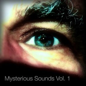 Download track Mystic Forest Paul - Vincent Roll