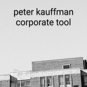 Download track Vigilant Soul Peter Kauffman