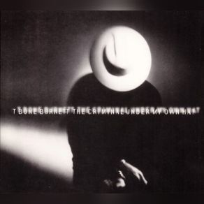 Download track I Can Explain Everything T - Bone Burnett