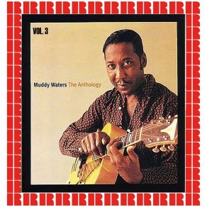 Download track Baby Please Don't Go (Hd Remastered Edition) Muddy Waters