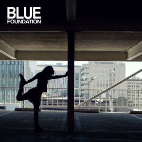 Download track Brother & Sister (Remixed By Shield) Blue FoundationSonya Kitchell, Shield