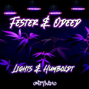 Download track Humboldt (Original Mix) Odeed