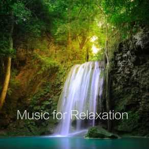 Download track Mind Harmony Yoga Music Spa