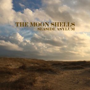 Download track Wood Splitter The Moon Shells