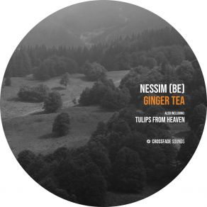 Download track Ginger Tea Nessim (BE)