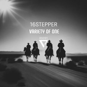 Download track Variety Of One 16stepper