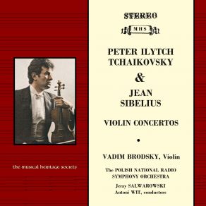 Download track Violin Concerto In D Minor, Op. 47 III. Allegro Ma Non Troppo Vadim Brodsky