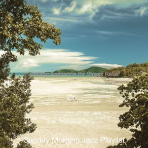 Download track Backdrop For Working From Home - Happy Piano Jazz Playlist