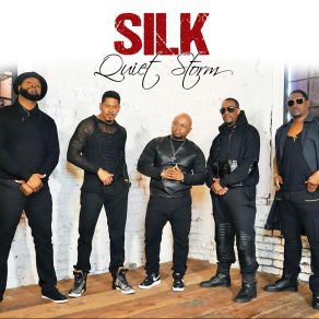 Download track Love 4 U To Like Me Silk