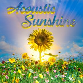 Download track Acoustic Sunshine Stuart Roslyn