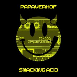 Download track Just Another Acid Test (Original) Papaverhof