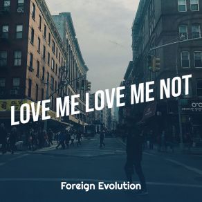 Download track Love Me Love Me Not (Intro) Foreign EvolutionTerrance Lamont