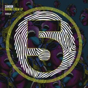 Download track Like This (Original Mix) Sandor