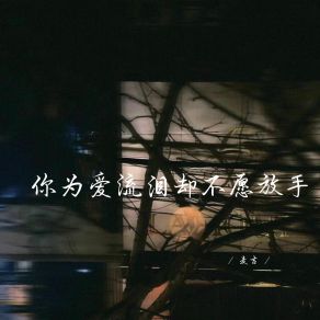 Download track 你为爱流泪却不愿放手 麦吉