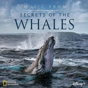 Download track Humpback Songs (From 