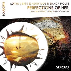 Download track Perfections Of Her (Liam Van Hoven Remix) Bianca MoliniLiam Van Hoven