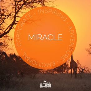 Download track Miracle (Loop A) Francesco Digilio