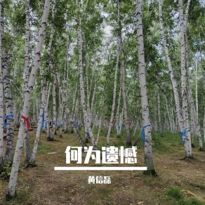 Download track 亲爱的朋友生命短暂而美好 黄信磊