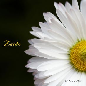 Download track Zardo A Branded Soul