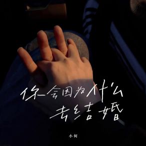 Download track 你会因为什么去结婚 (伴奏版) Xiao He