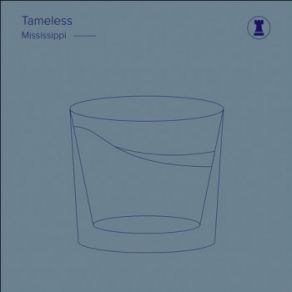 Download track Mississippi (Jared Marston Remix) Tameless