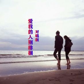 Download track 爱我的人别徘徊 (对唱版) 何仙子