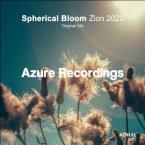 Download track Zion 2020 (Original Mix) Spherical Bloom