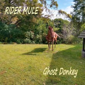 Download track Stay Put Ghost Donkey