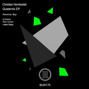 Download track Quaternio (Lewis Delay Remix) Christian Hornbostel