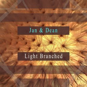 Download track A Surfer's Dream Jan & Dean