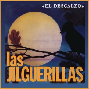 Download track El Arpa Y El Acordeón Las Jilguerillas